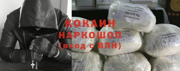прущие грибы Алзамай