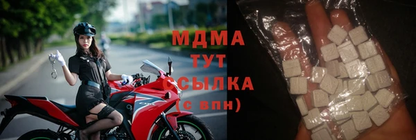 прущие грибы Алзамай