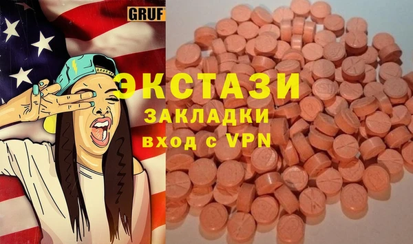 сатива Каменка