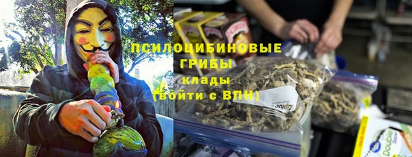 PSILOCYBIN Алексеевка