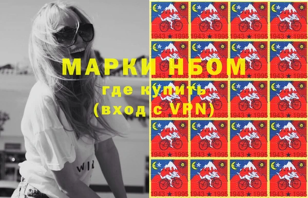 гашик Коряжма