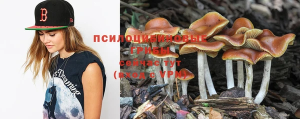 PSILOCYBIN Алексеевка