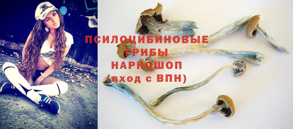 PSILOCYBIN Алексеевка