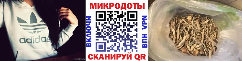 Галлюциногенные грибы Cubensis  где продают   Новоаннинский 